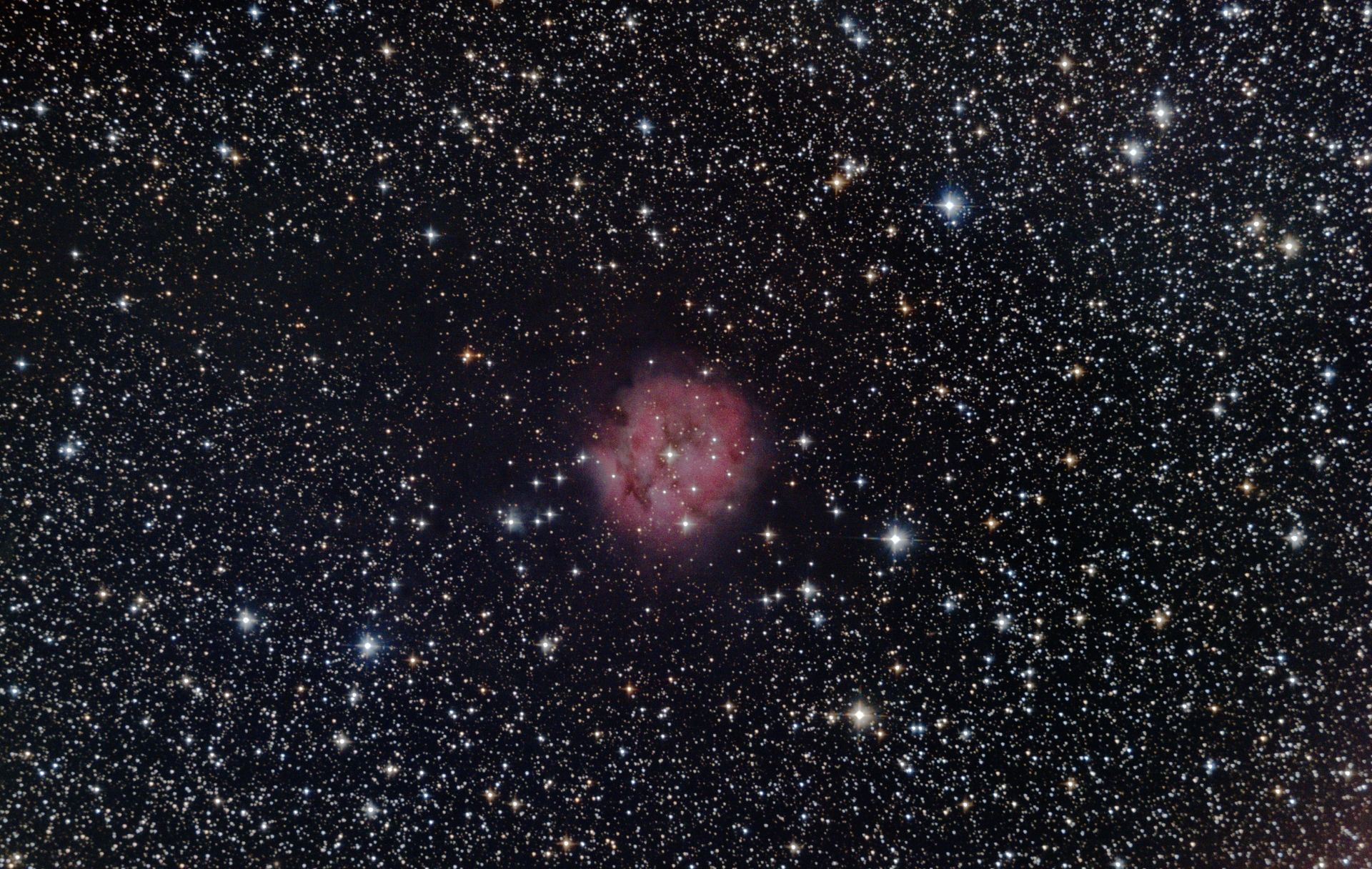 Coocon Nebula